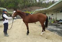 �������� (REVERENCE) ����