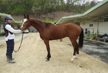 �������� ����