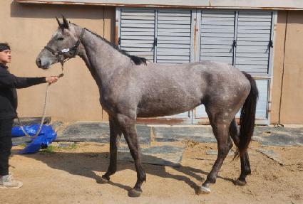 ����Ʈ�� ����