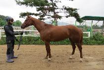 �����ѽ��� (YUKWAEHAN SEUNGJA) ����