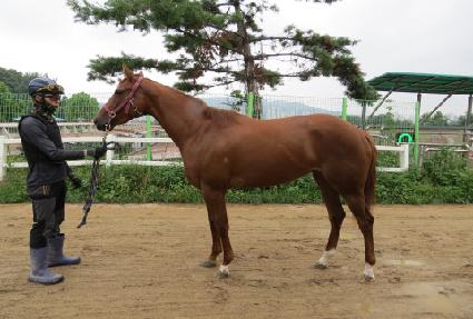 �����ѽ��� ����