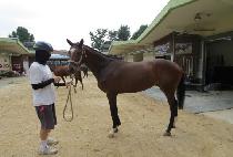 �ö��׼��� (FLYING THUNDER) ����