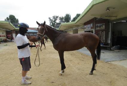 �ö��׼��� ����