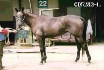 �������� (YEO GAN NAE GI) ����