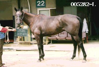 �������� ����