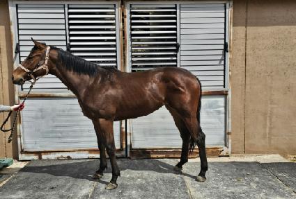 �ʰ��� ����