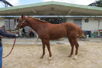 �������� ����