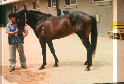 ����� ����