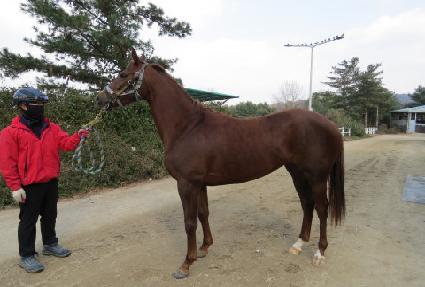 û���ܿ� ����