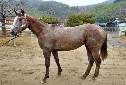 ��Ÿ���� ����