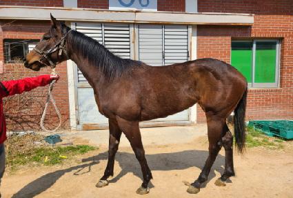 �׹̽� ����