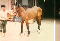 ������ (KEUKKA JI) ����