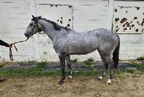 �ҿ��н�Ʈ (SO FAST) ����