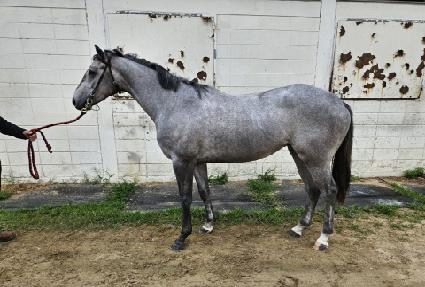 �ҿ��н�Ʈ ����