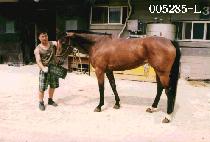 �귯����ũ (BLUSHING PINK) ����