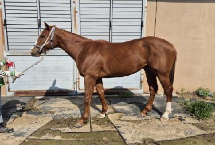 ���ۿ���� ����