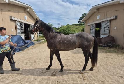 ���۷��� ����