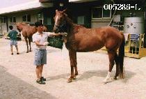 ���� (MA-EUM) ����