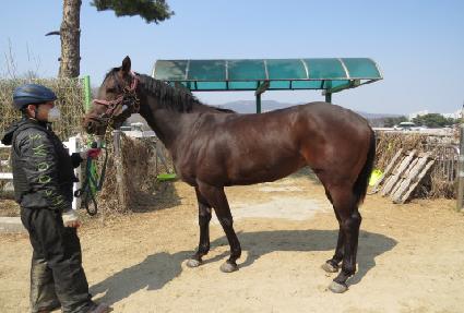 ���������� ����