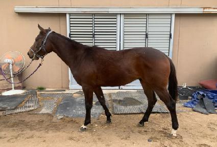 ����Ÿ��Ʋ ����