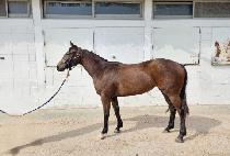 ���Ӵ��� (I��M THE ONE) ����