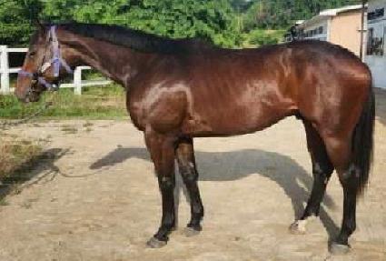 ���������� ����