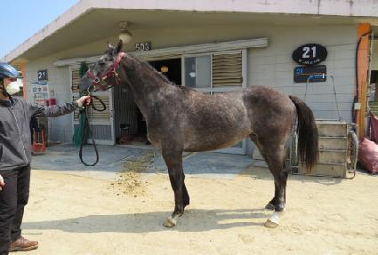 ���̺꽺Ÿ ����