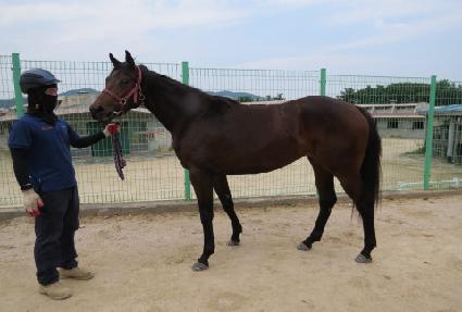 �����μ��� ����