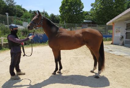 ����ī��û�� ����