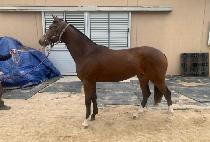 ��Ÿ��ƽ�� (FANTASTIC ONE) ����