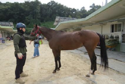 ����Ƴ� ����