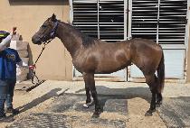 ���ִ��� (UNJU NURI) ����