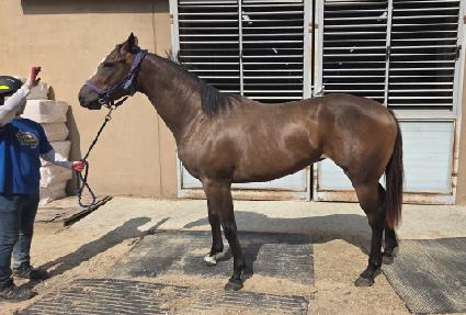 ���ִ��� ����