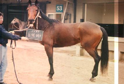 ������ ����