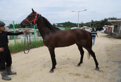 �¸��� ����