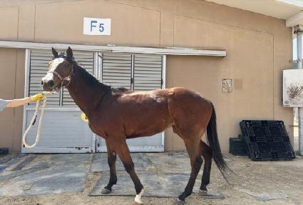 �򵵸�Ƽ ����