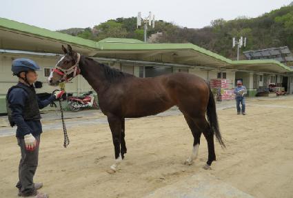 ���ϵ彺��Ƽ ����