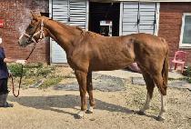 ��������� (NONSTOP HUG) ����