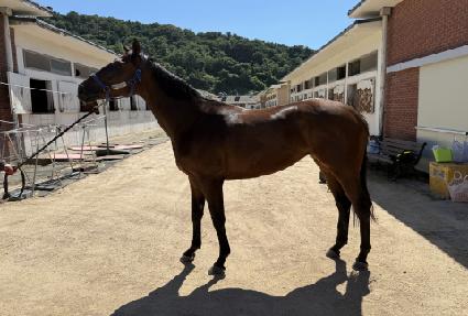 ��������Ʈ ����