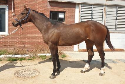 �ٺ������� ����