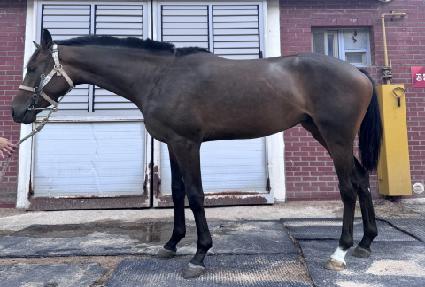 ���� ����