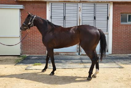 �ƶ�̵� ����