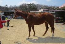 �μն����� (DUSON LIFE) ����