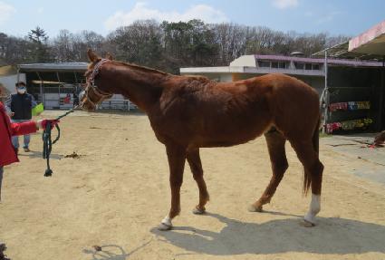 �μն����� ����