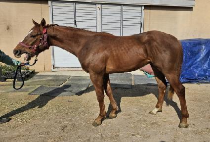 �ְ����� ����