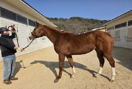 �ݾƾƮ ����