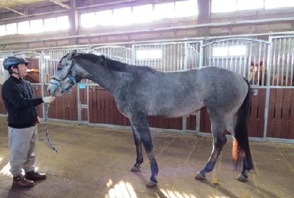 Ŭ�ι��� ����