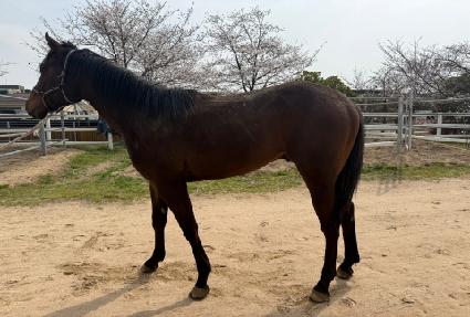 ���ڸ� ����