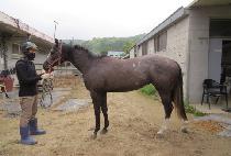 ���ǹ� (HOT FEVER) ����