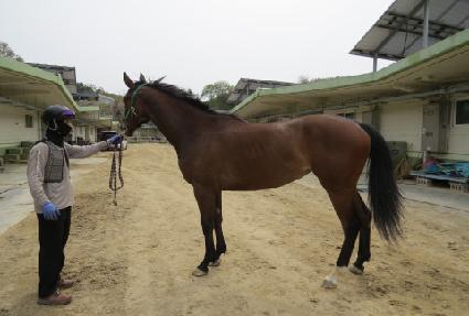 ���嵿�� ����